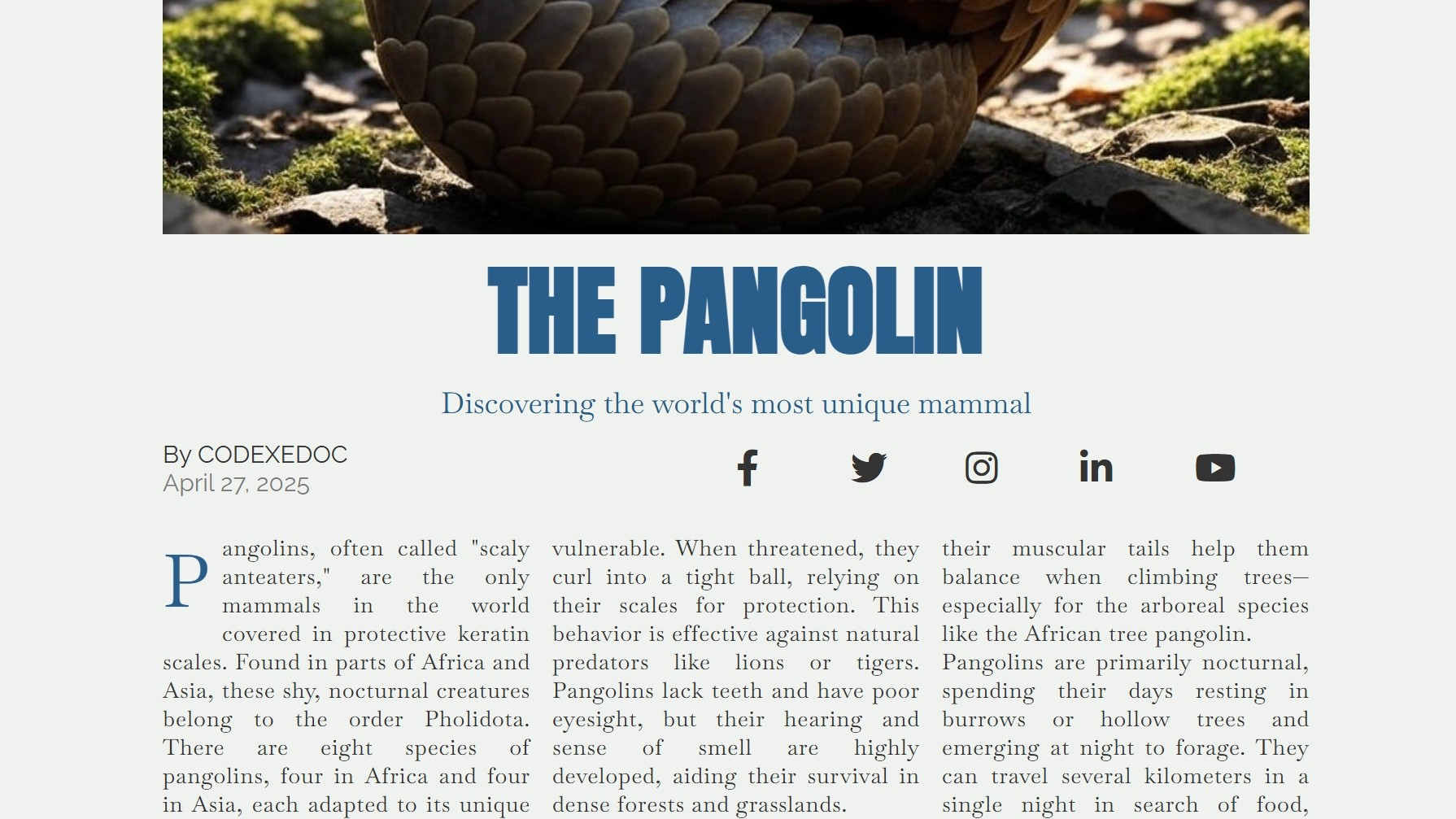 Pangolin Magazine